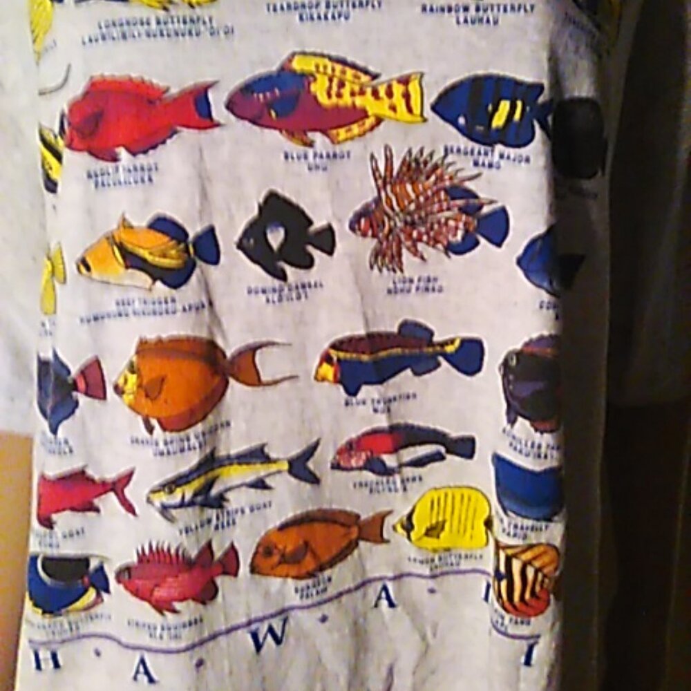 T-Shirt The Fishes Of Kauai Hawaii Men's XL Gray Jerzees Heavy Weight Cotton - Picture 3 of 5